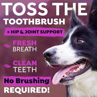 TROPICLEAN TROPICLEAN FRESH BREATH WATER ADDITIVE PLUS HIP & JOINT 16 oz.