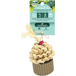 OXBOW OXBOW SMALL ANIMAL CELEBRATION CUPCAKE