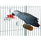 CAITEC Caitec m-00735 Foraging Feeder