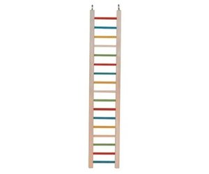 Rainbow Ladder 🌈