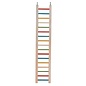 CAITEC Caitec Parrot Rainbow Ladder 24" With 1/2" Rungs