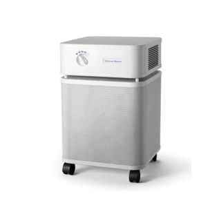 AUSTIN AIR PRODUCTS Austin Air Bedroom Machine Sandstone Color