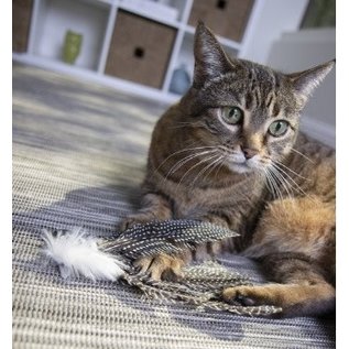 PETLINKS HYPERNIP ZIPPY ZEBRA FEATHERS CAT TOY