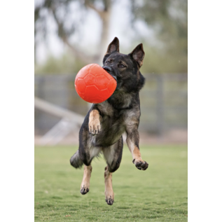 Jolly Pets Soccer Ball 6' Small Dog Toy Assorted Colors Each