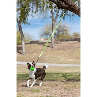 Jolly Pets Tree Tugger Dog Toy