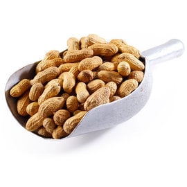 JUNGLE JUNCTION Unsalted Roasted Fancy Peanuts In The Shell 4# Bulk