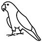 ON THE WING CONURE DECAL