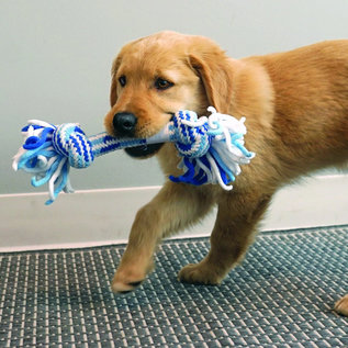 KONG KONG PUPPY ROPE TUG MEDIUM