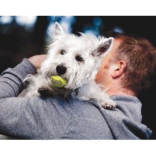 KONG Kong Air Squeaker Ball Small 3 Pack