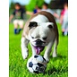 KONG KONG DOG SPORTS BALL SMALL 3 PACK