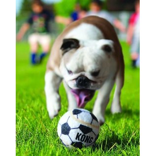 KONG Kong Dog Toy Sport Balls Extra Small Assorted