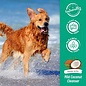 TROPICLEAN TROPICLEAN FLEA & TICK RELIEF DOG SHAMPOO