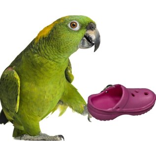 SUPER BIRD CREATIONS Super Bird Crocs Assorted Colors Each sb-1193