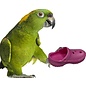 SUPER BIRD CREATIONS Super Bird Crocs Assorted Colors Each sb-1193