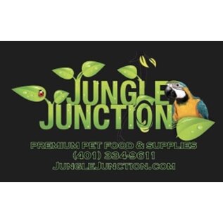 JUNGLE JUNCTION Ladies V-Neck PC450 Black Extra Large