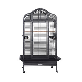 A&E CAGE COMPANY A & E Cages Majestic Parrot Cage  3628 Black  **AVAILABLE IN STORE ONLY**