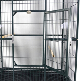 A&E CAGE COMPANY A&E Flight Cage w Stand Green 31 x 20 x 40