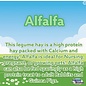 SWEET MEADOW FARM Sweet Meadow Alfalfa 24 oz.