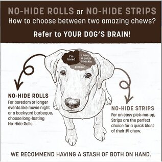 EARTH ANIMAL EARTH ANIMAL DOG NO HIDE STRIPS PEANUT BUTTER 4 PACK