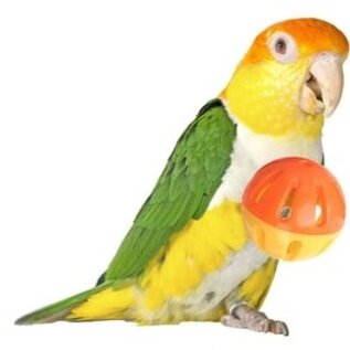 SUPER BIRD CREATIONS Super Bird SB-1055 - 2" Birdie Ball Single