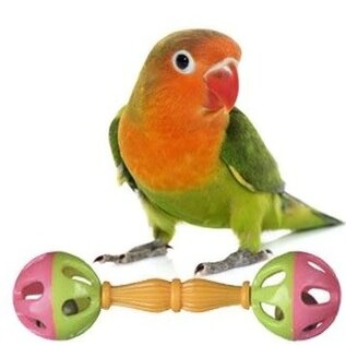 SUPERBIRD CREATIONS BIRDIE BARBELL EACH