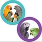 SUPER BIRD CREATIONS Superbird Creations Hide n Seek Forager 11 x 5.5 x 1.5"
