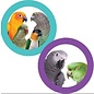 SUPERBIRD CREATIONS Superbird Creations Hide n Seek Forager 11 x 5.5 x 1.5"