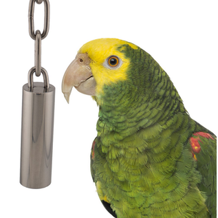 SUPER BIRD CREATIONS SUPERBIRD CREATIONS  STAINLESS STEEL TUBE BELL – SMALL  8.5″ x 1