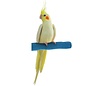 Pedicure Safety Perch Small Assorted Colors