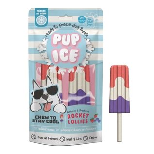 ETHICAL PRODUCTS PUP ICE ROCKET LOLLIES