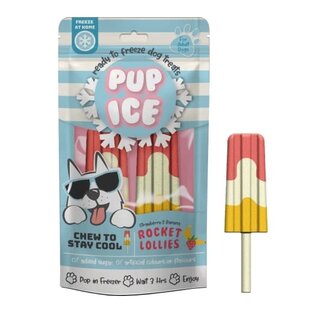 ETHICAL PRODUCTS PUP ICE ROCKET LOLLIES