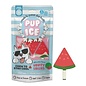 ETHICAL PRODUCTS PUP ICE FRUITY LOLLIES