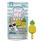 ETHICAL PRODUCTS PUP ICE CHOCCY LOLLIES