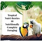 LAFEBER COMPANY LAFEBER MACAW NUTRI-BERRIES TROPICAL FRUIT 3# BAG