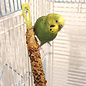SUNSEED Vitakraft Crunch Sticks Harvest Apple Flavor Parakeet Treat 1.5oz