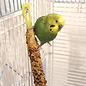 Vitakraft Crunch Sticks Harvest Apple Flavor Parakeet Treat 1.5oz