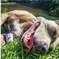 SUZIES'S CBD SUZIE S CBD DROPS FOR DOGS