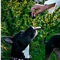 SUZIES'S CBD SUZIE S CBD DROPS FOR DOGS