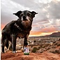 SUZIES'S CBD SUZIE S CBD DROPS FOR DOGS