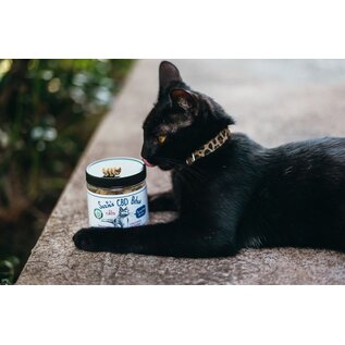 SUZIES'S CBD SUZIE'S CBD .5mg BITES CHICKEN & TUNA  FOR CATS 100 COUNT
