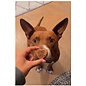 SUZIES'S CBD SUZIE S CBD HEARTS FOR DOGS