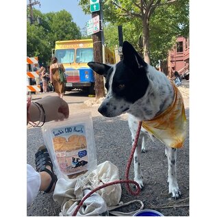 SUZIES'S CBD SUZIE S CBD HEARTS FOR DOGS