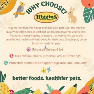 HIGGINS Higgins inTune Duets with Chickpeas & Apples Bird 3 oz