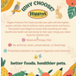 HIGGINS Higgins inTune Duets with Chickpeas & Apples Bird 3 oz