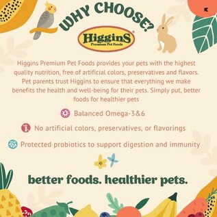 HIGGINS Higgins inTune Duets with Chickpeas & Sweet Potatoes Bird 3 oz