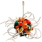 FUN-MAX Zoo-Max Fireball Extra-Large 21" x 18"