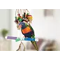 HAGEN Hari Active Play - 4-Way Perch Swing & Toy