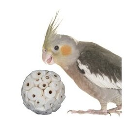 SUPER BIRD CREATIONS Super Bird Sola Balls 6cm (4pk)