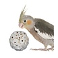 SUPER BIRD CREATIONS Super Bird Sola Balls 6cm (4pk)