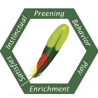 SUPER BIRD CREATIONS Super Bird Creations SB-1202 Rainbow Aglets Small 14 x 2 x 2"